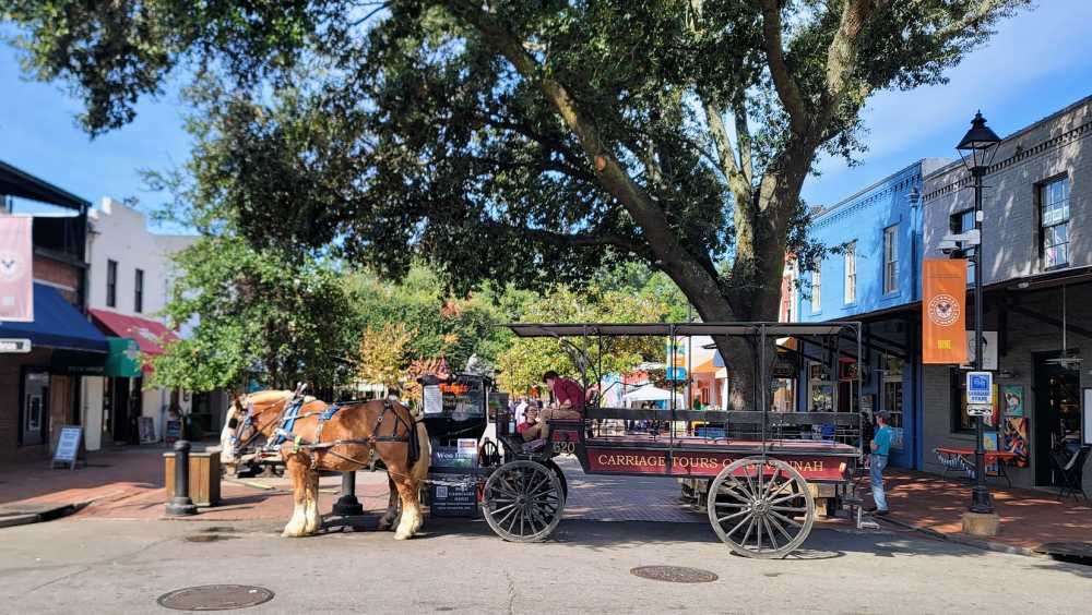 Home City Market Savannah Savannah City Market